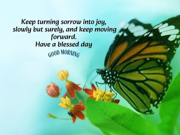 Good morning Shayari in English