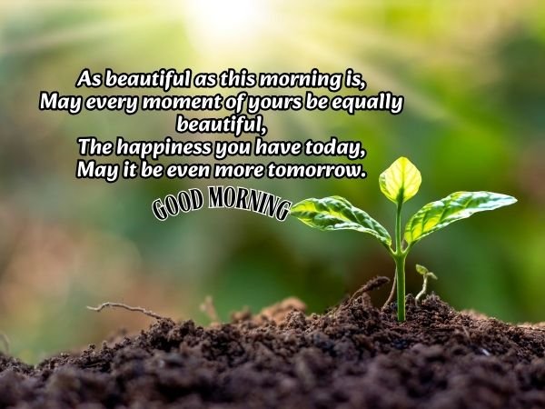 Good morning Shayari Wishes in English