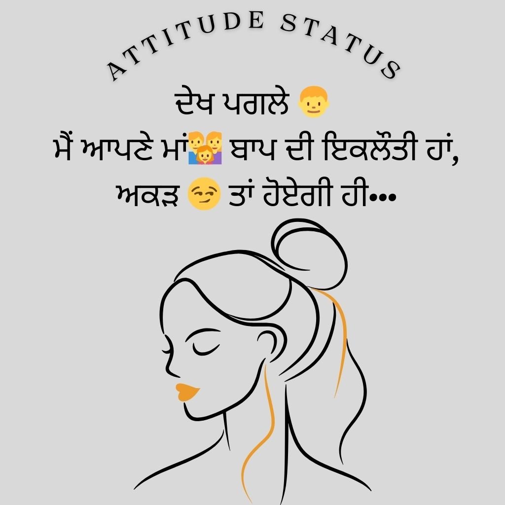 attitude Status in punajbi 