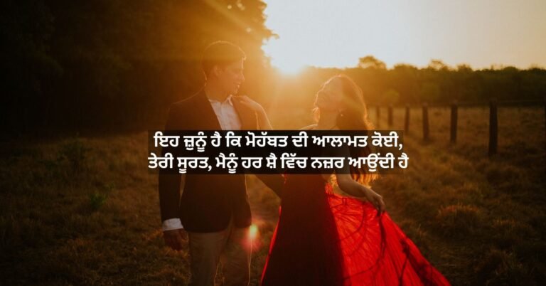 Punjabi Love Shayari